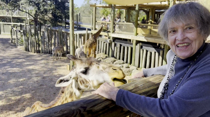 North Shore DITL Thumbnail